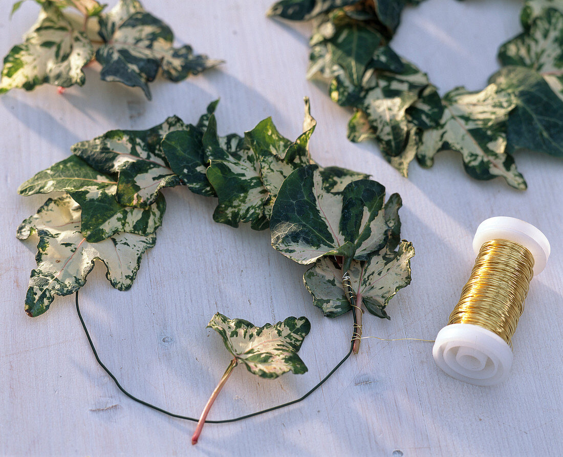 Ivy wreath: 1/2