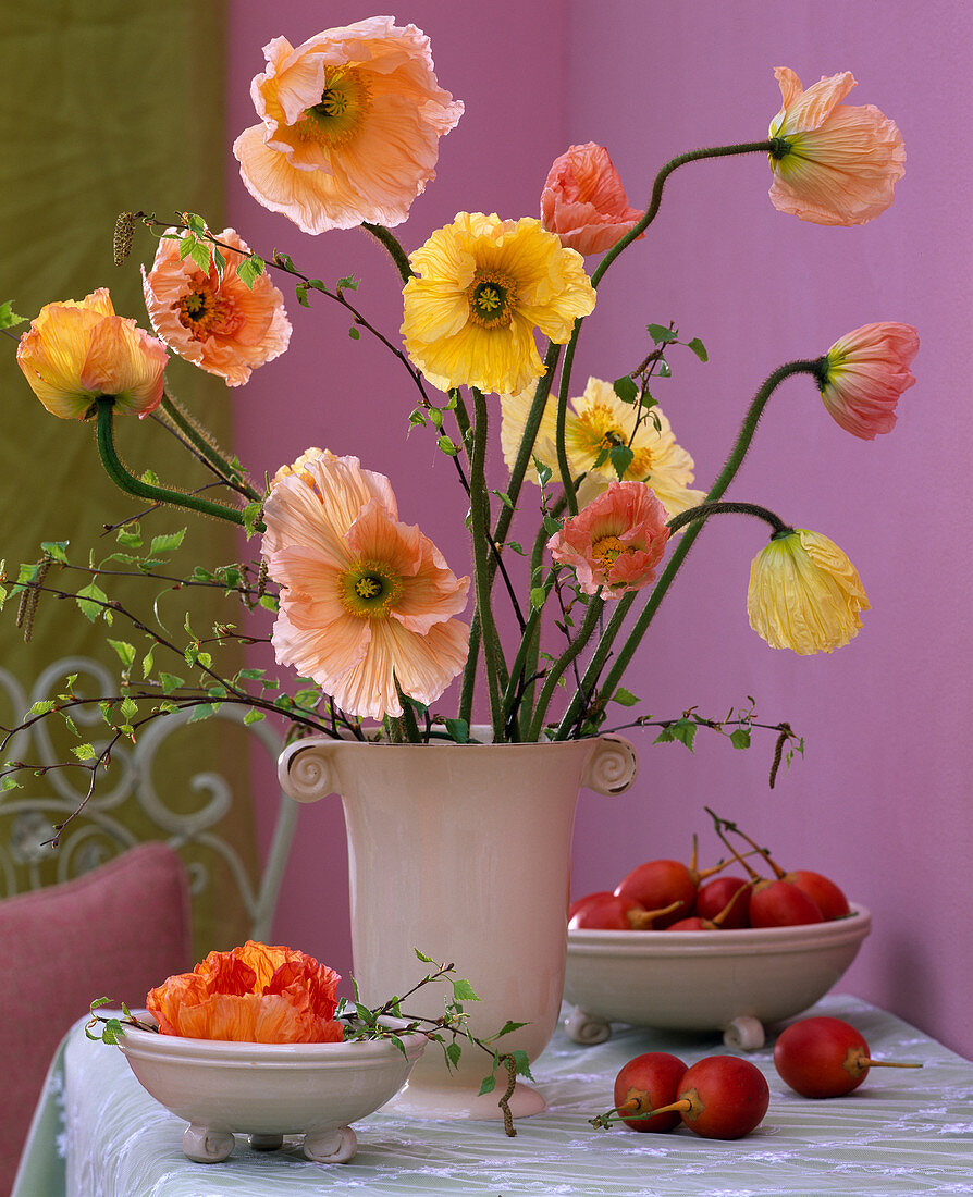 Papaver (silk poppy), Betula (birch)