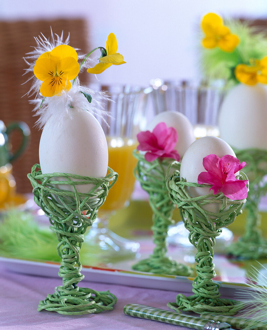 Gänseei als Vase mit Viola Sorbet (Hornveilchen)