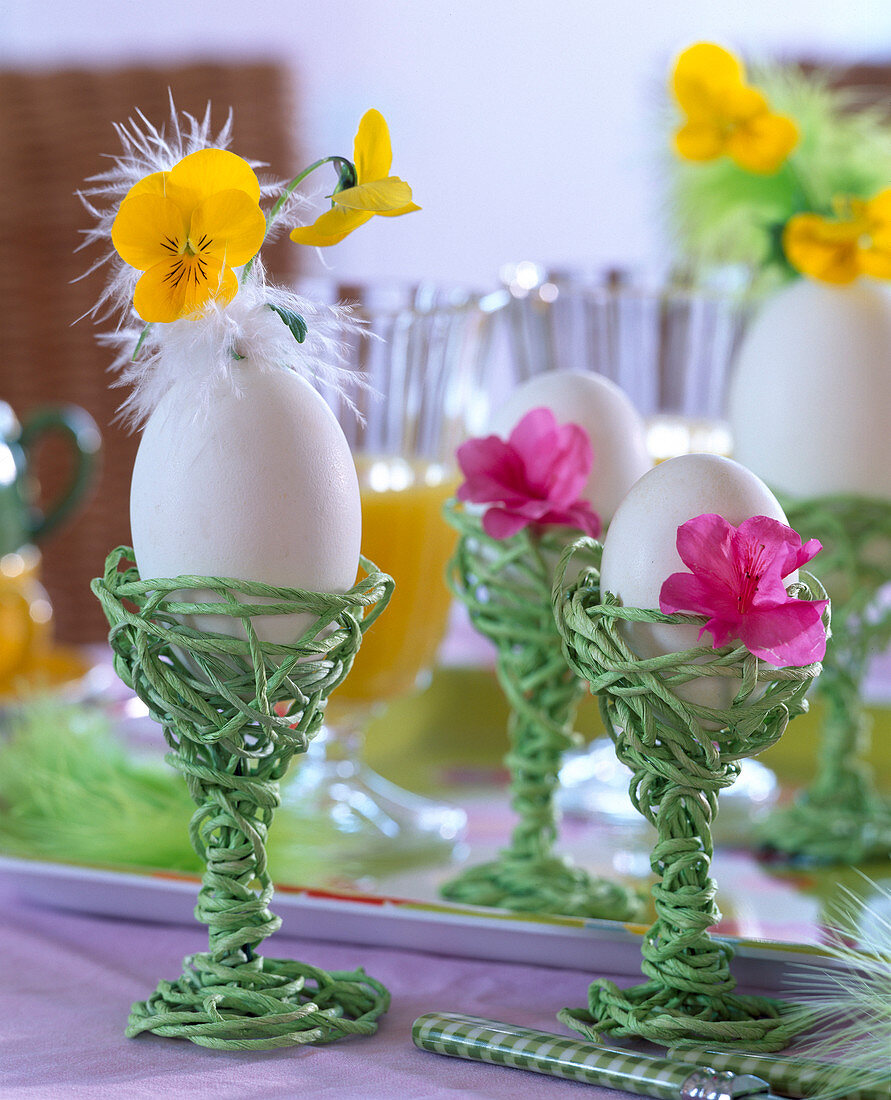 Goose egg as a vase with viola sorbet (horned violet)
