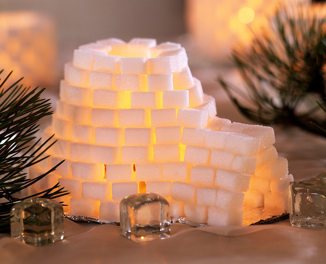 Iglu aus Würfelzucker als Windlicht – Bild kaufen – 12227143 ❘  Gartenbildagentur Friedrich Strauss