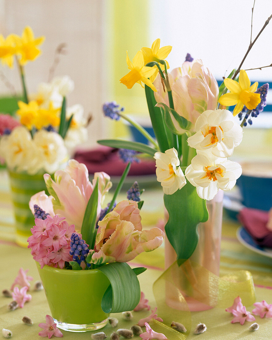 Tulipa (pink parrot tulip), Hyacinthus (hyacinth)