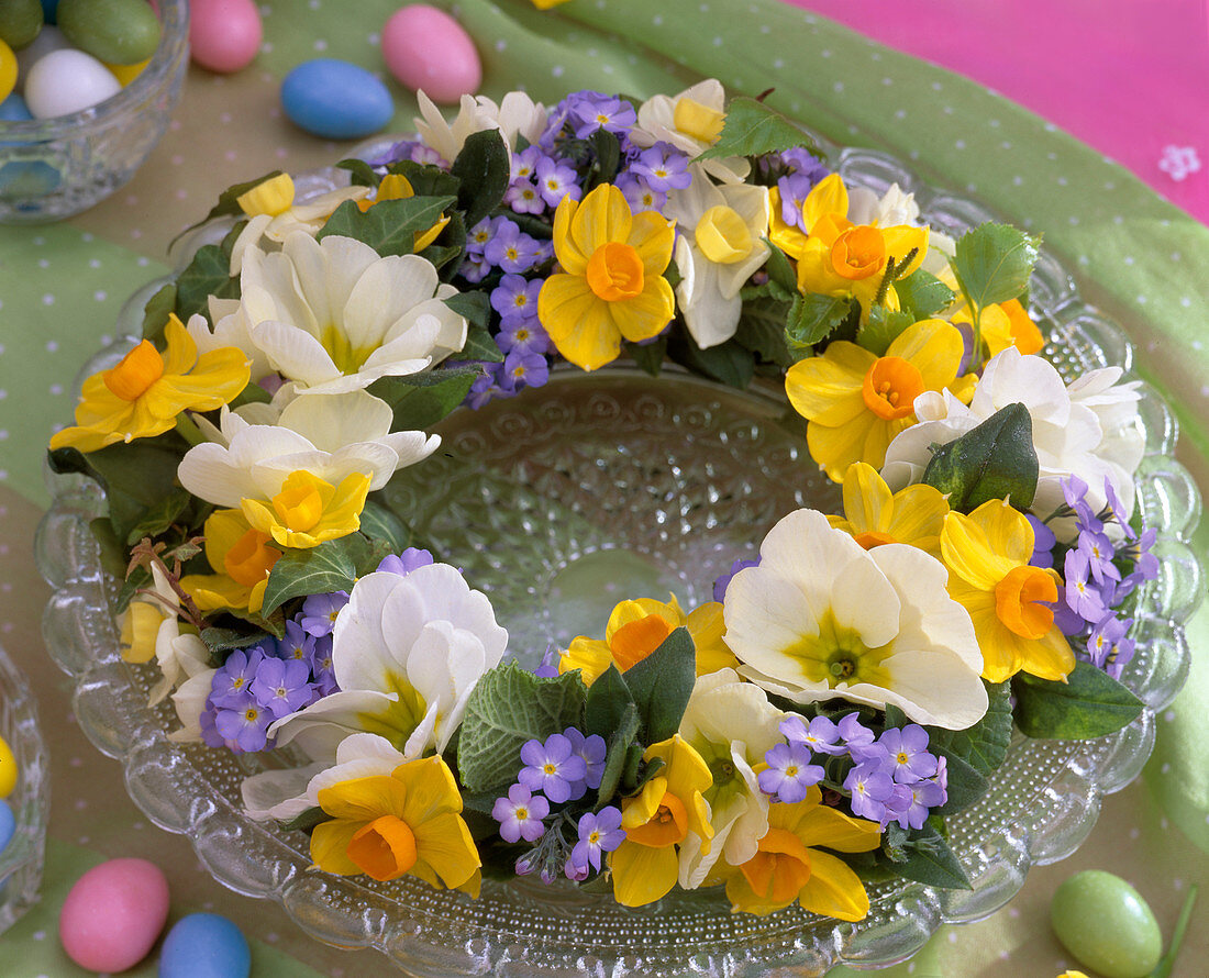 Narcissus Primula Myosotis wreath