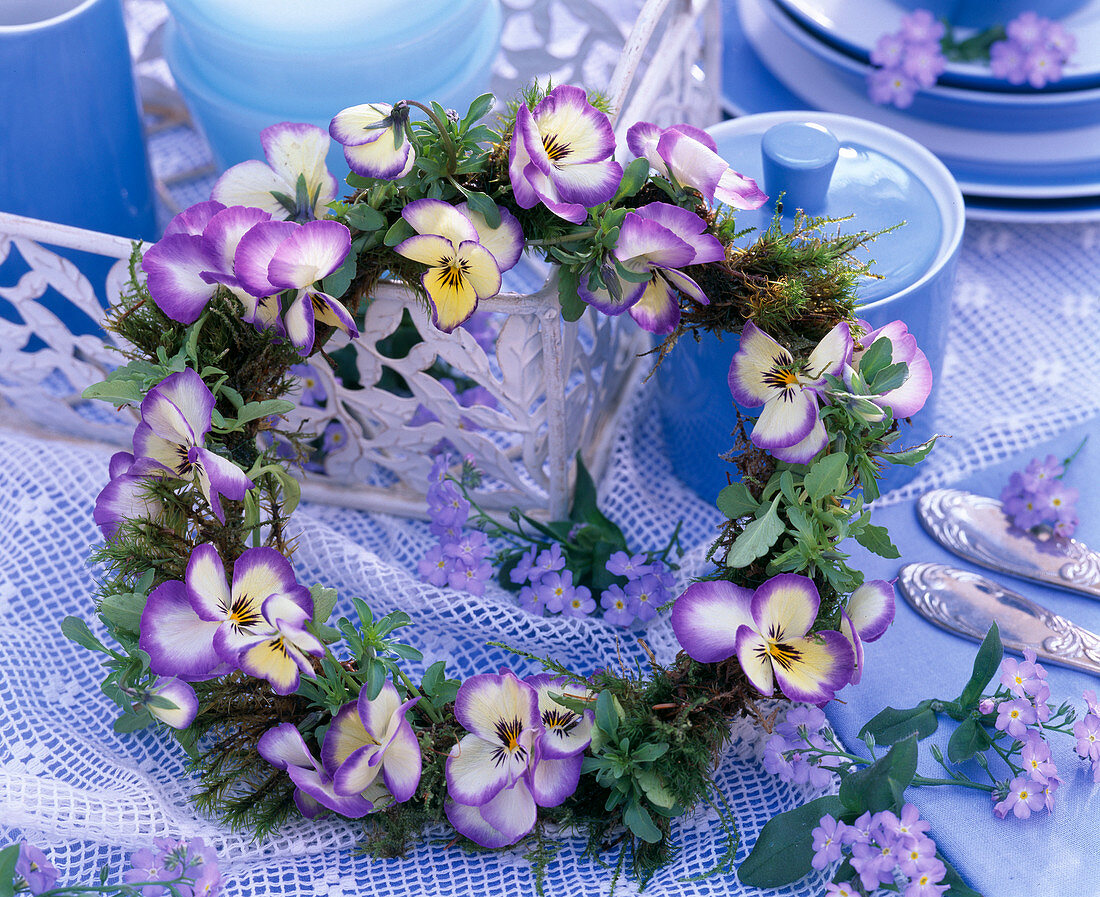 Viola sorbet 'Coconut Swirl' and 'Lemon Swirl' (horn violet)