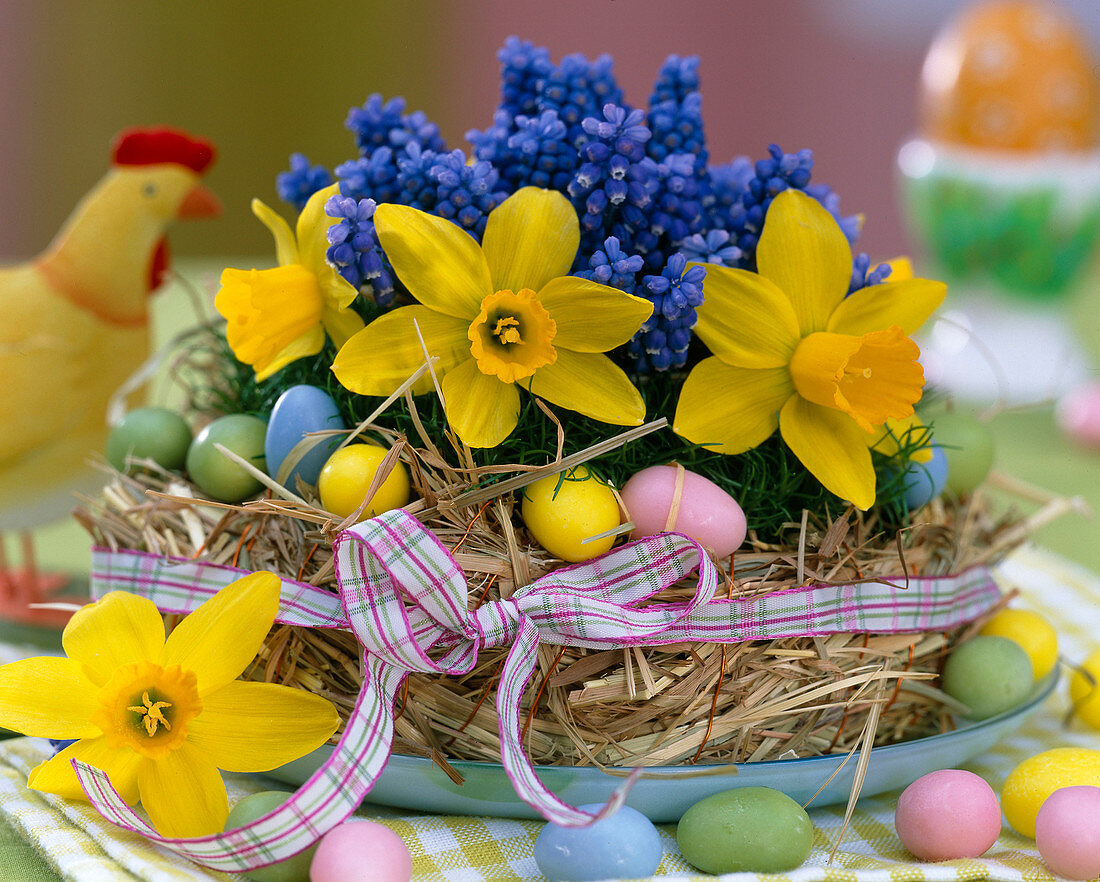 Straw wreath with Narcissus (Daffodil)