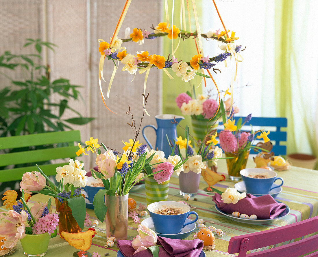 Ceiling hanging with Primula (spring primroses), Narcissus (daffodils)