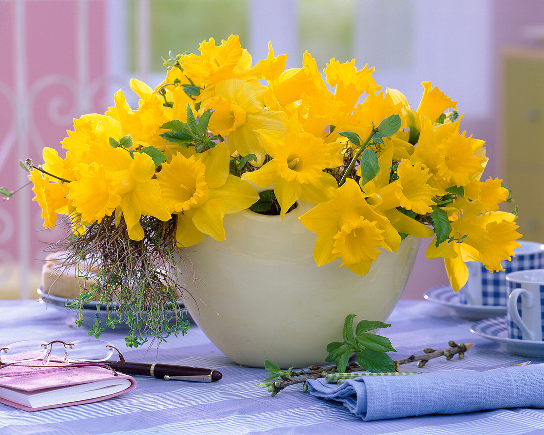 Narcissus (gelbe Narzissen), Prunus (Kirschzweige)