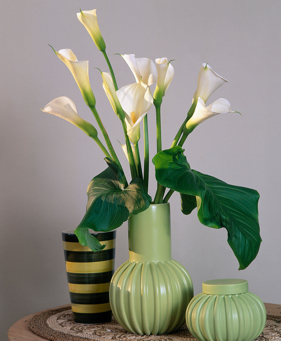 Bouquet with Zantedeschia aethiopica