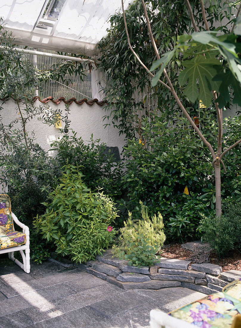 View of a winter garden