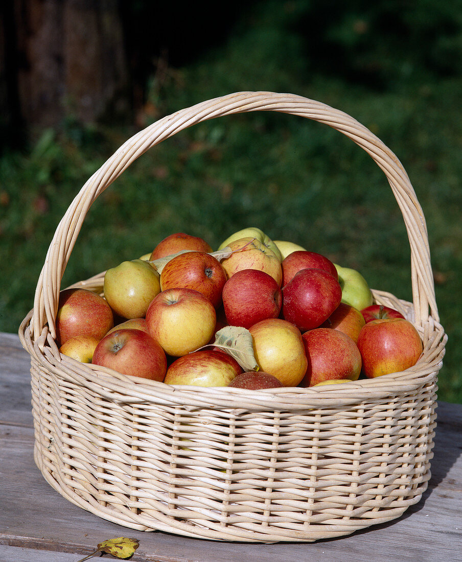 Apple basket