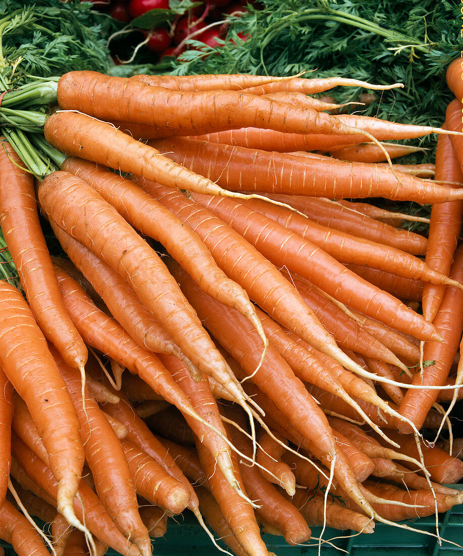 Carrots