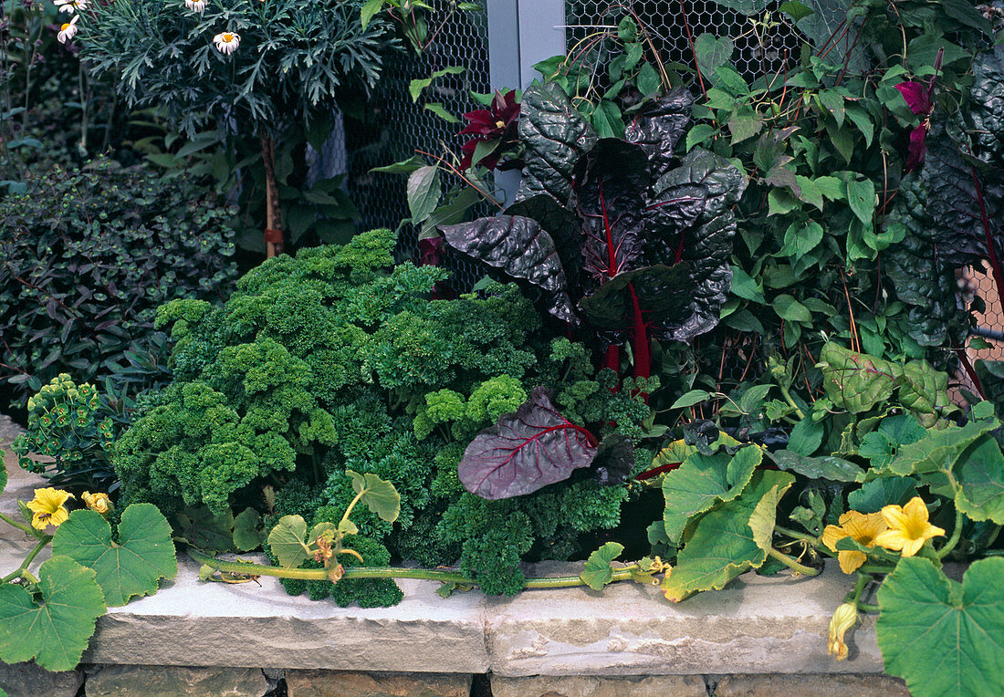 Chard and parsley