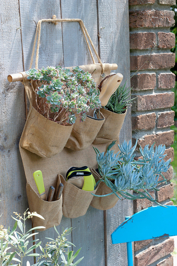 Bag for utensils with succulents and small garden tools