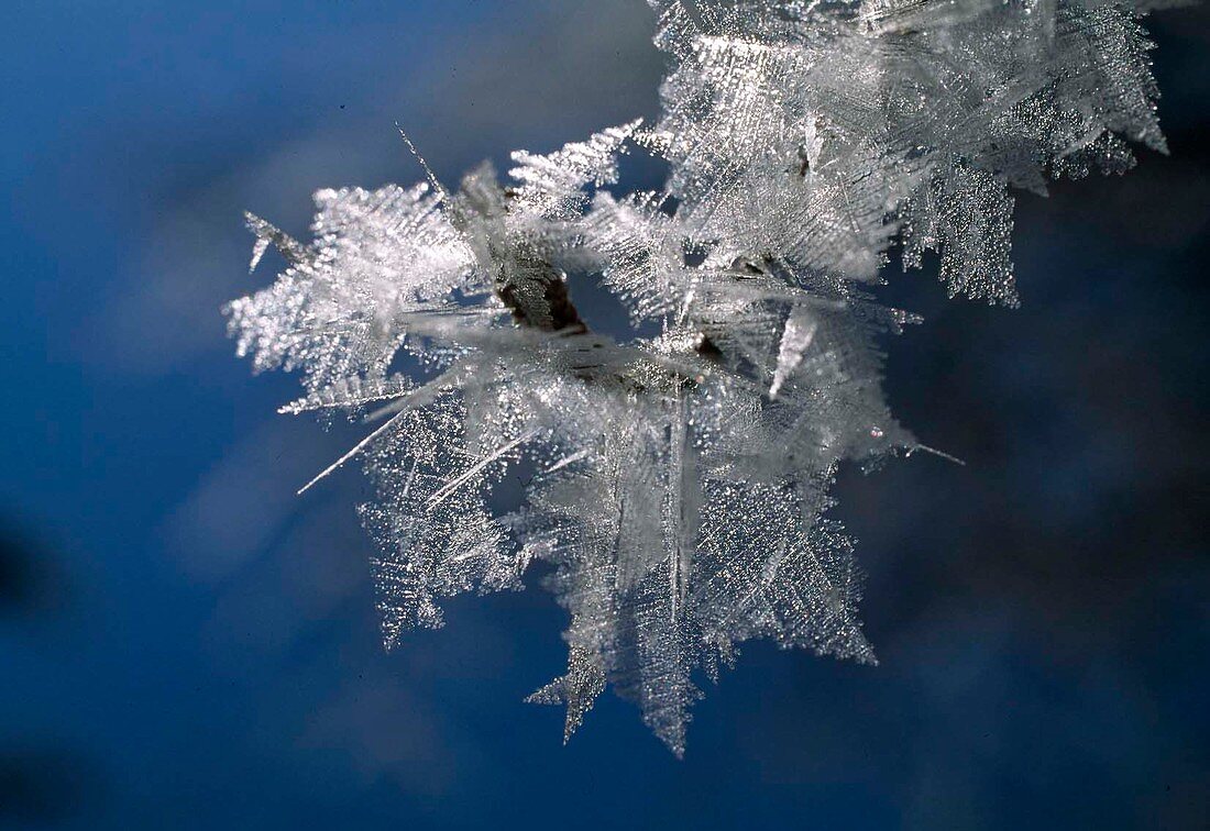 Hoarfrost, snow crystals