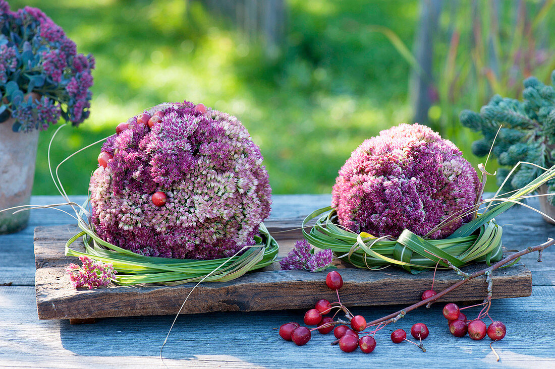 Bordered balls of sedum flowers (sedum) in wreaths