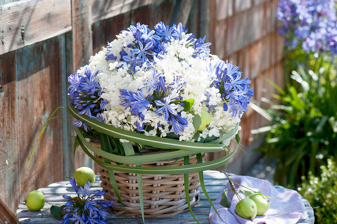 Kugeliger Strauss aus Hydrangea (Hortensien) und Agapanthus