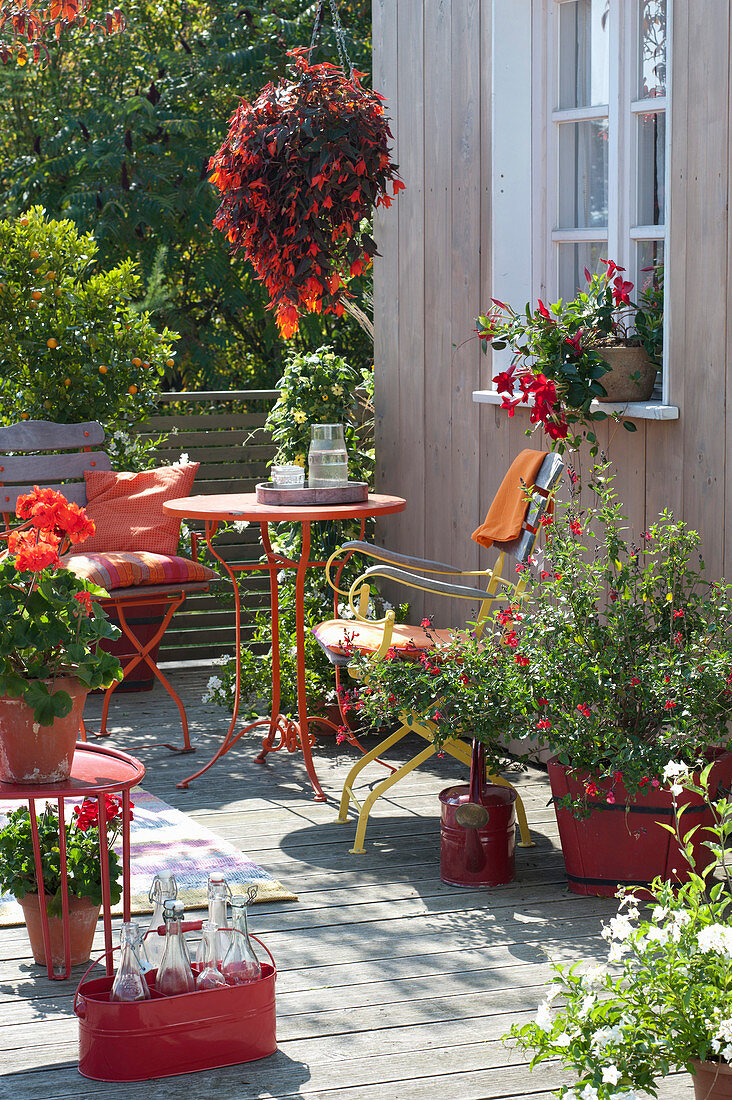 Spaetsommerbalkon in rot-orange