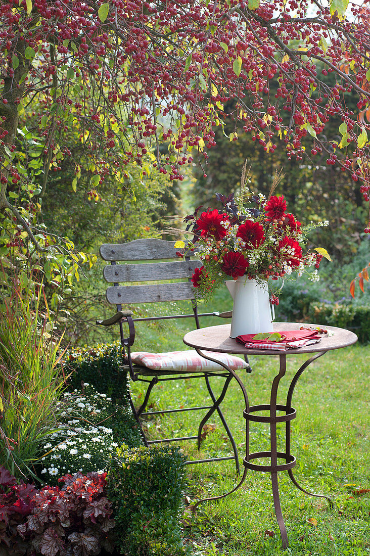 Small seat on the bed under Malus 'Evereste' (ornamental apple tree)