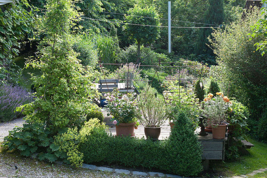 Holzterrasse im Garten am Hang, Kübel mit Rosa (Rosen) und Rosmarinus