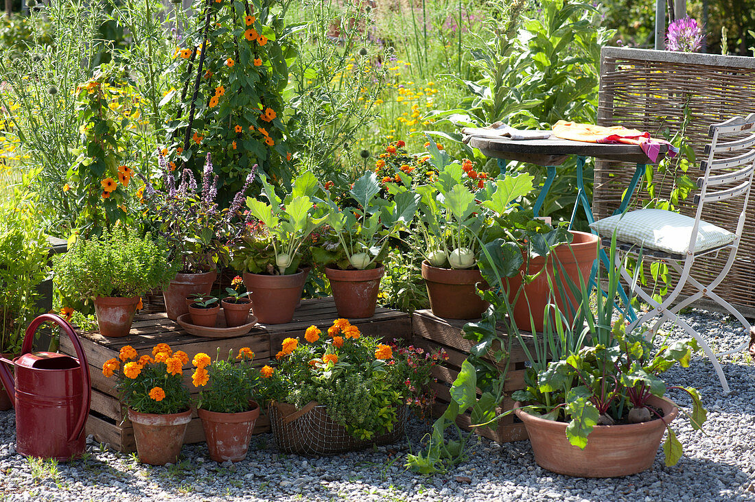 Snack terrace with vegetables and summer flowers