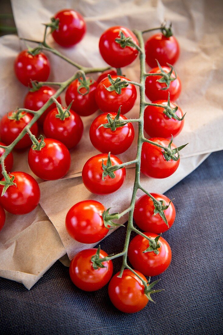 Tomatoes on the vine on paper