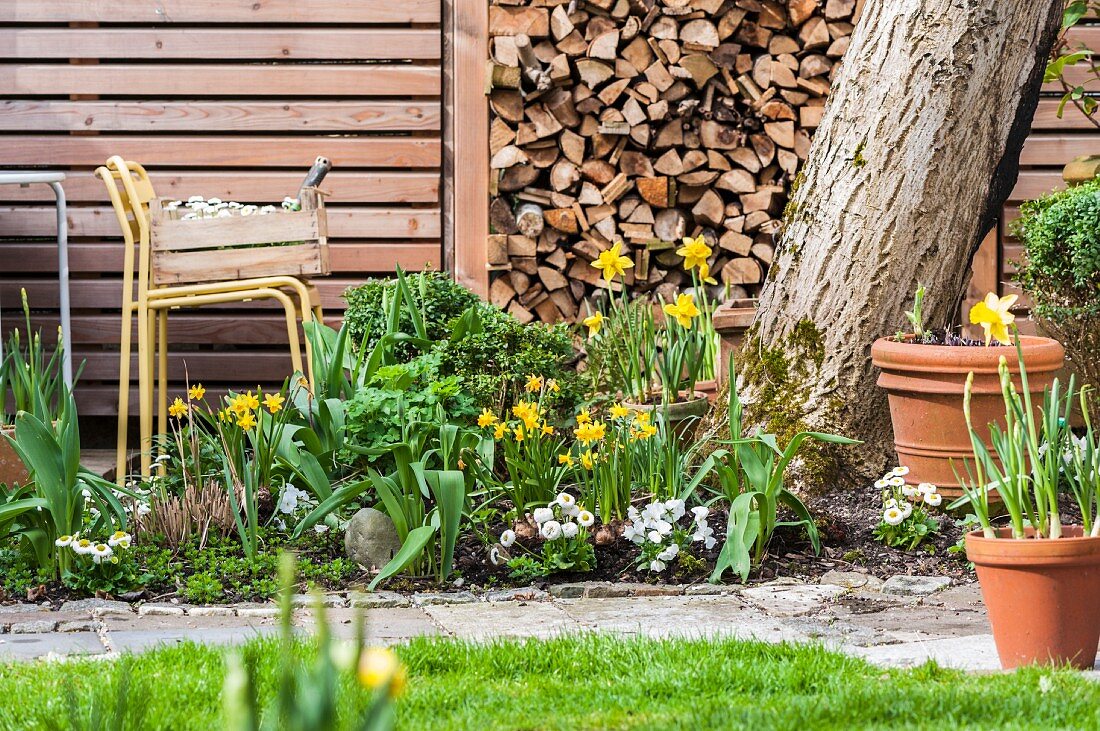 Bed of flowering spring plants in front of stacked firewood