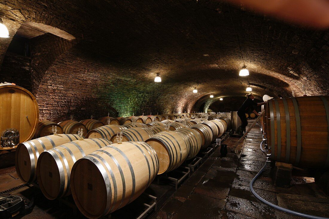Wine barrels in a wine cellar in Deidesheim, Rhineland-Palatinate, Germany