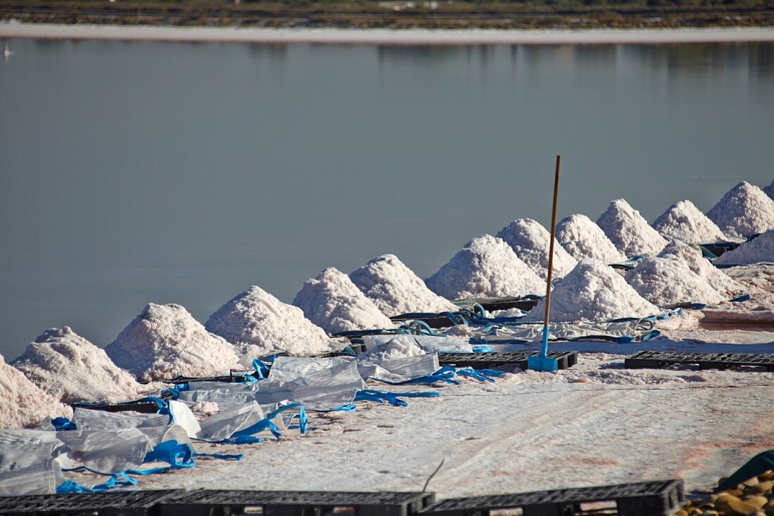 Sea salt extraction in the Camargue region of France