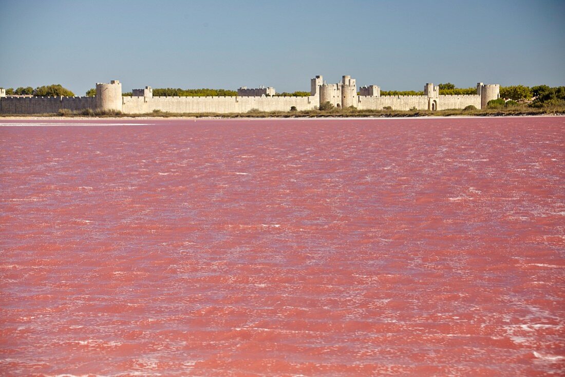 Saline, im Hintergrund die Stadtmauer von Aigues Mortes in der Camargue, Frankreich