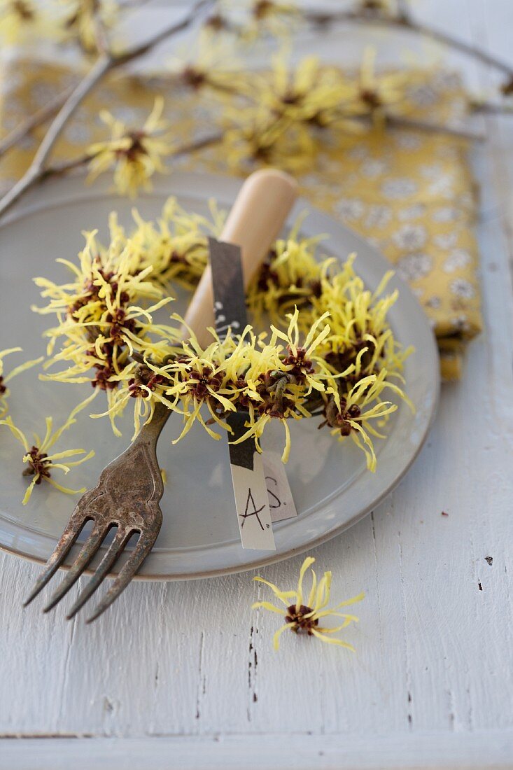 Kranz aus Zaubernussblüten als Tischdeko (Hamamelis)