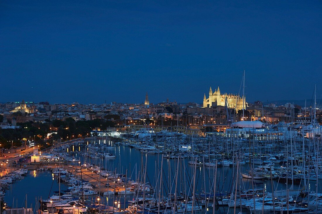 Blick auf den Hafen und auf die Kathedrale von Palma in Abendbeleuchtung, Mallorca, Spanien