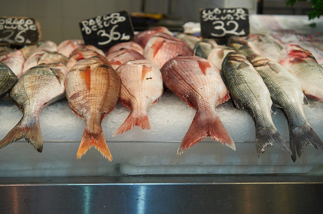 Fische im 'Mercat de l'Olivar', Mallorca, Spanien