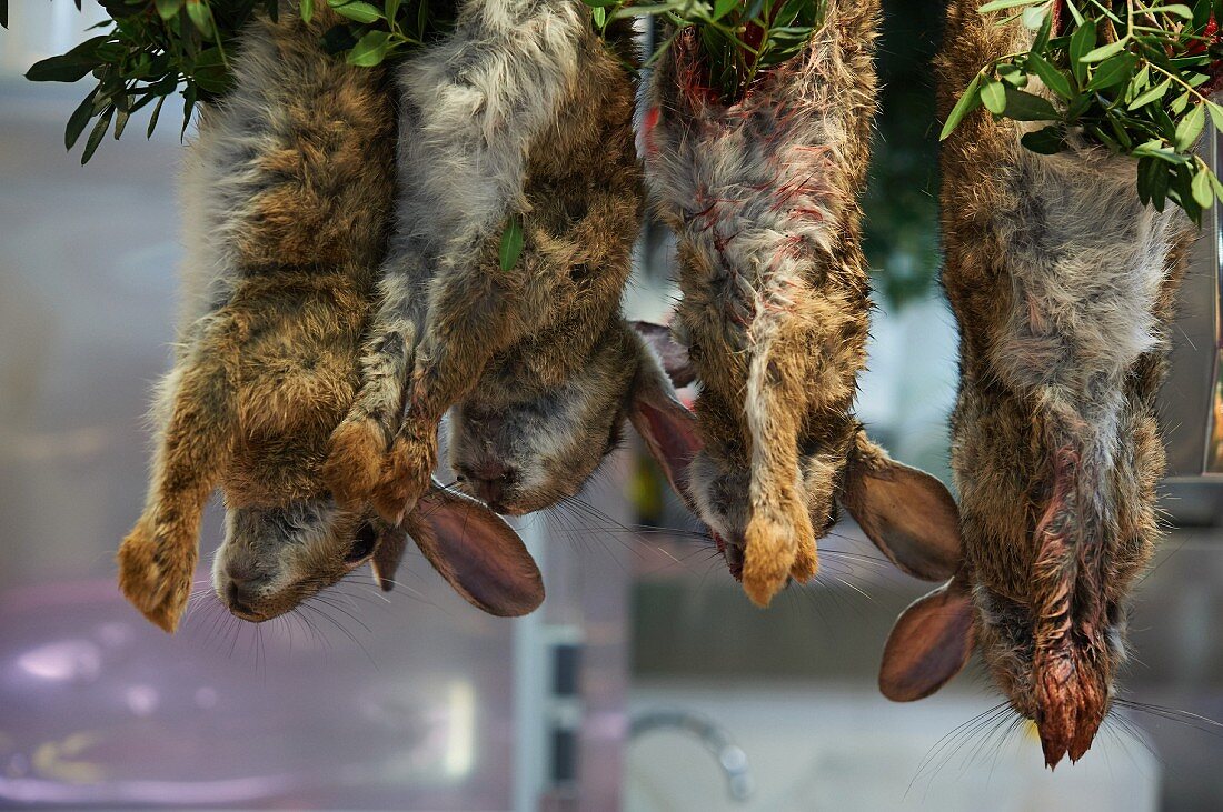 Rabbits at the 'Mercat de l'Olivar' in Mallorca, Spain