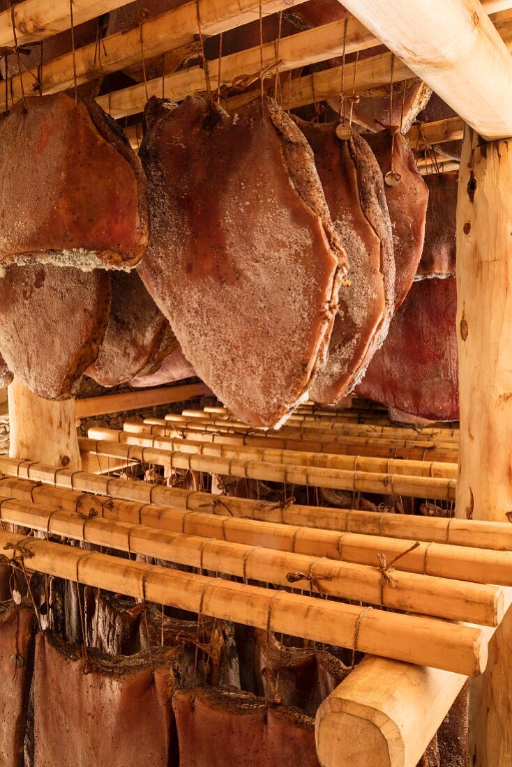 Bacon in the curing chamber at the Hofmanufaktur Kral in South Tyrol