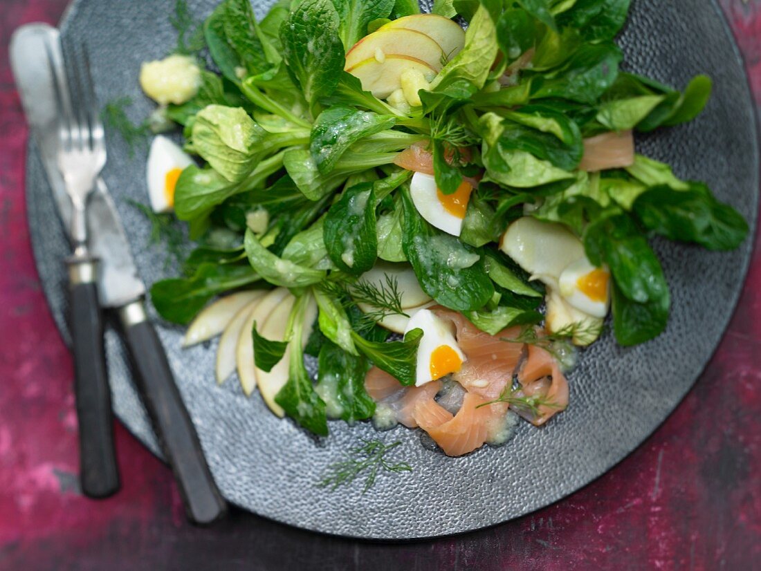 Bornholmer Feldsalat mit Räucherlachs – Bilder kaufen – 12239897 StockFood