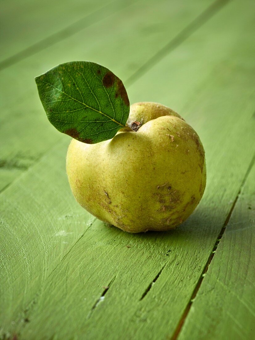 A quince with leaf