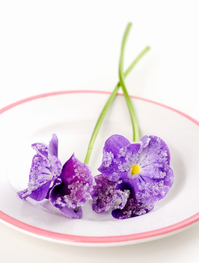 Candied violets