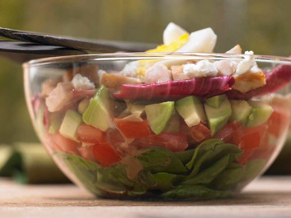 Colorful layered salad with spinach, bacon, chicken and avocado