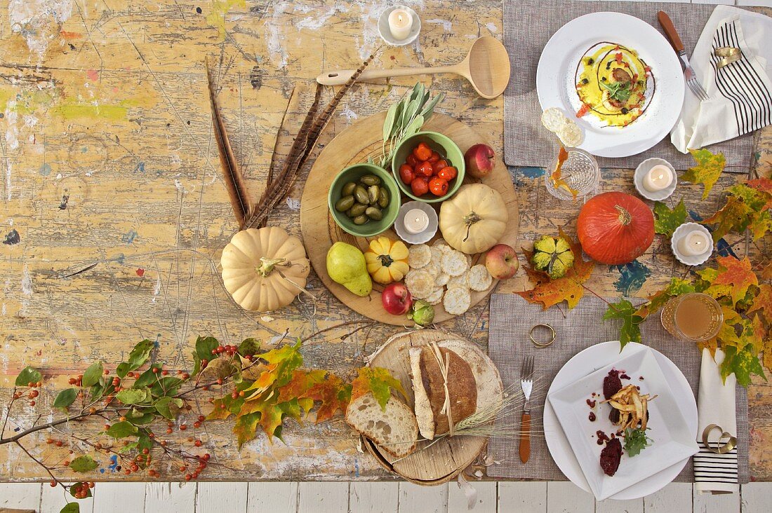 Herbstlich gedeckter Tisch mit Muscheln und Rinderfilet (Aufsicht)