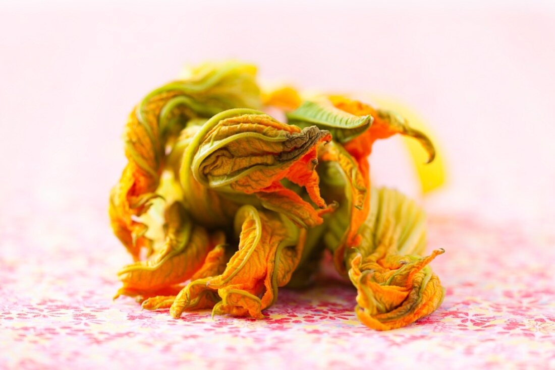 Courgette flowers