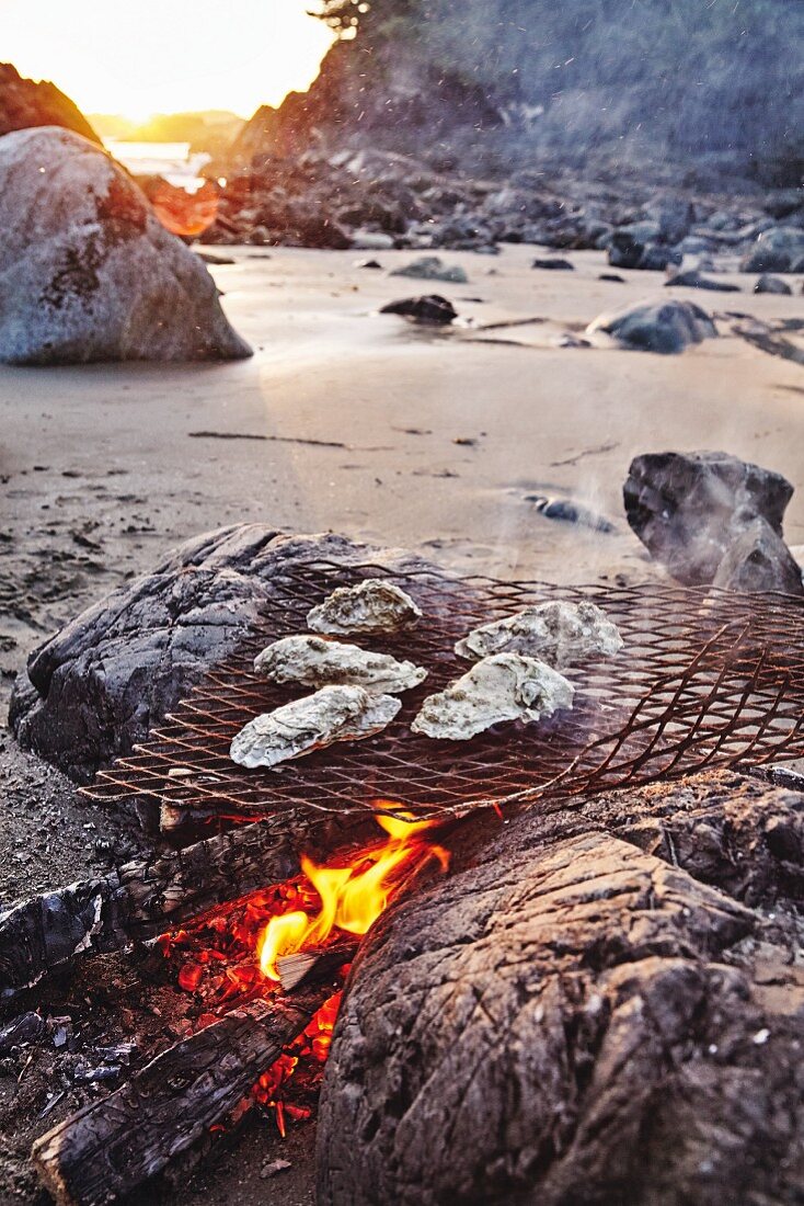 Oysters over a beach fire in Tofino, British Columbia, Canada