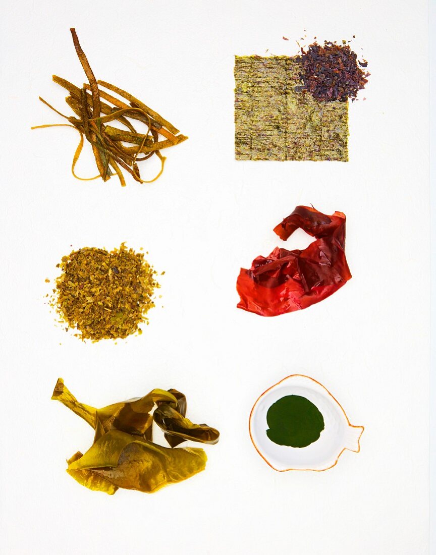 Various types of algae: sea spaghetti, nori, sea salad, dulse, wakame, chlorella