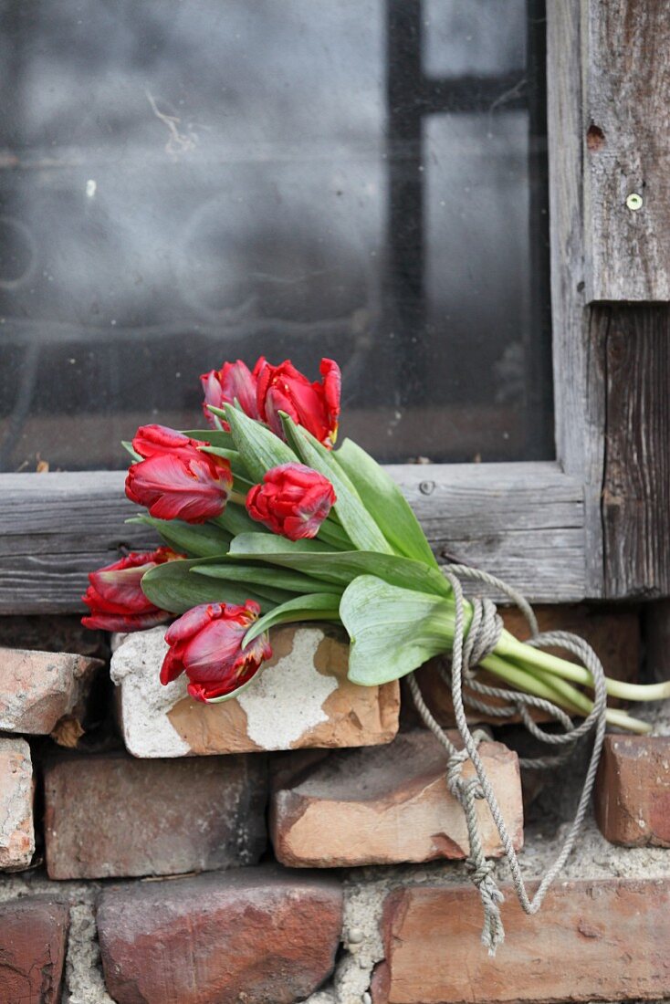 Strauß aus roten Tulpen mit einem Kordel zusammengebunden