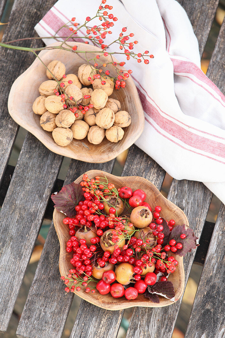 Wooden dishes holding red berries and medlars and walnuts