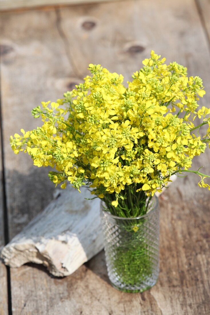 Bunch of rapeseed flowers in glass vase with structured surface on weathered wooden boards