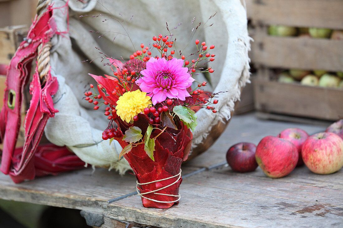Posy of dahlias, rose hips wrapped in red Virginia creeper leaves