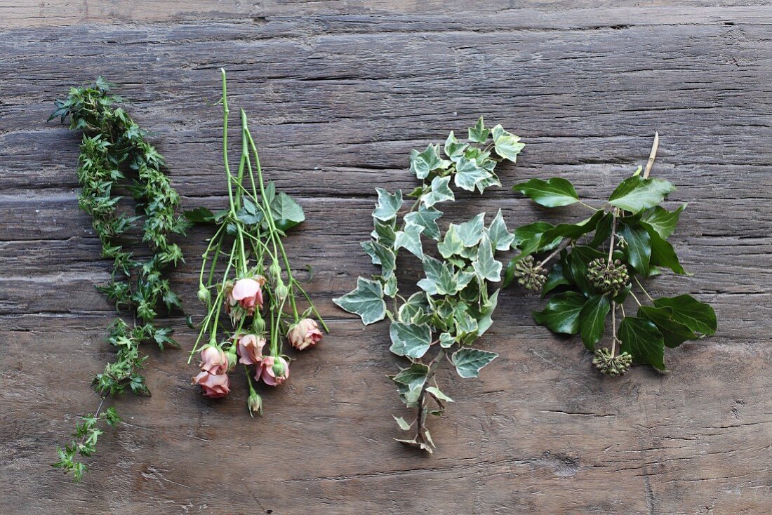 Various ivy tendrils and pink roses on rustic wooden surface