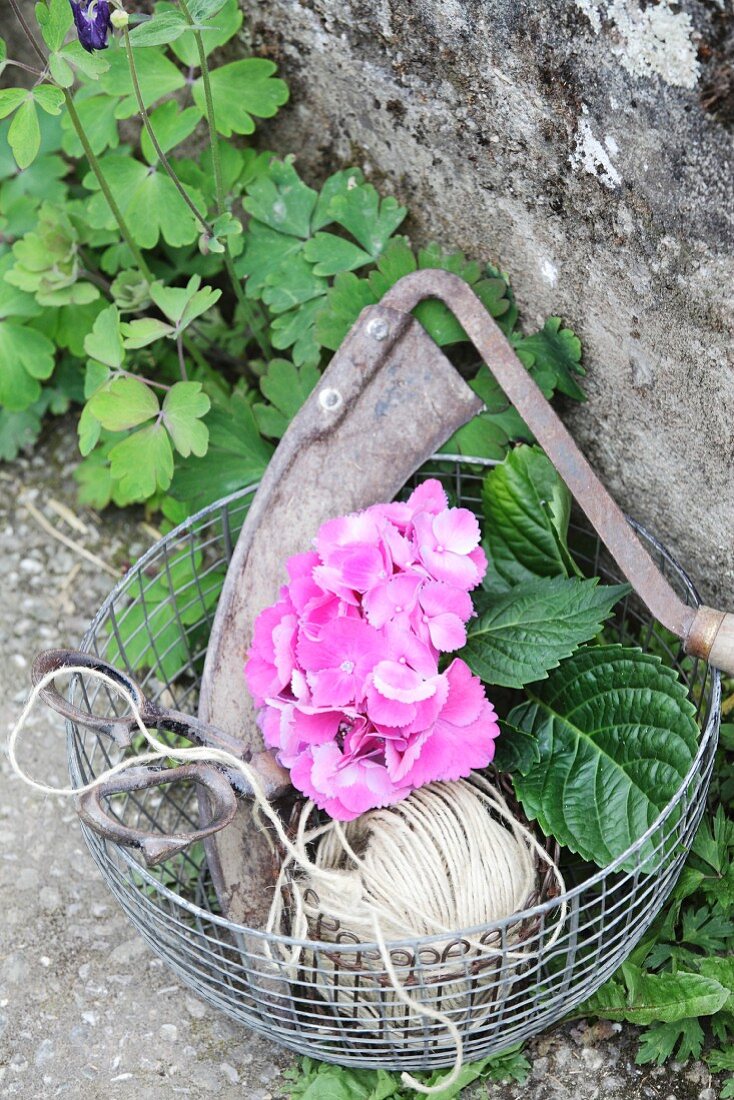 Metallkorb mit Handsichel, Schere, pinker Hortensie und Paketschnur