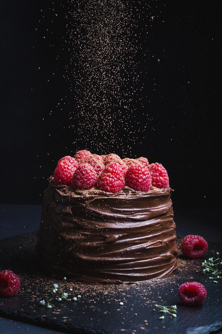 Decadent chocolate cake topped with chocolate icing and raspberries, and cocoa sprinkling in action