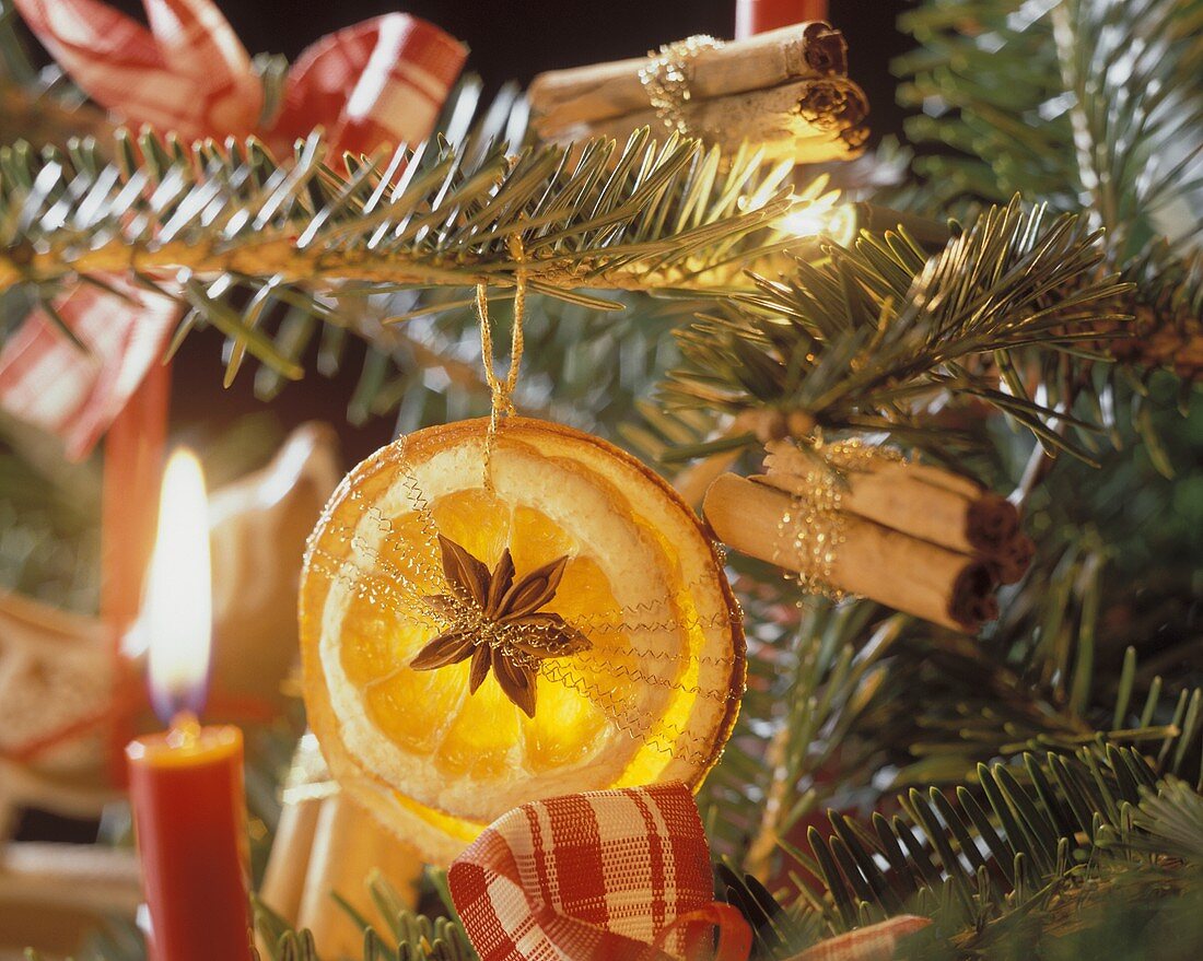 Ornament Made Out of Dried Orange Hanging From a Tree